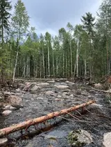 Oxnäsån efter åtgärd.
