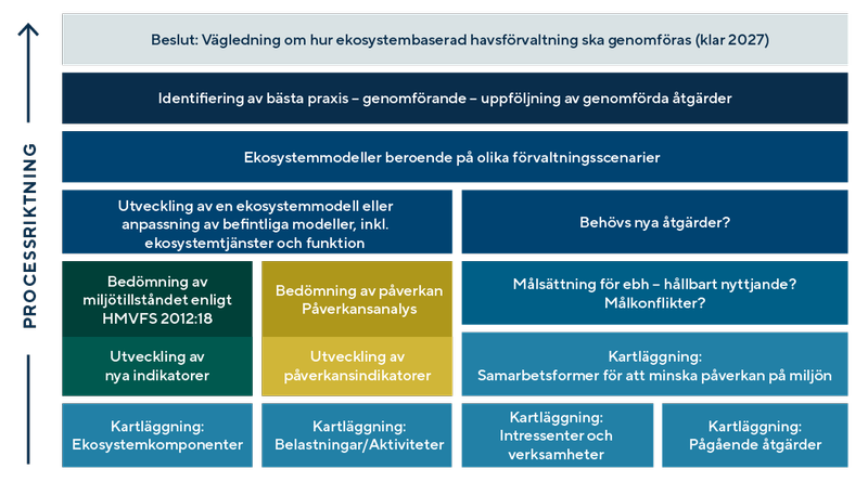 Översikt om organisation av åtgärden och de olika stegen i dess genomförande.