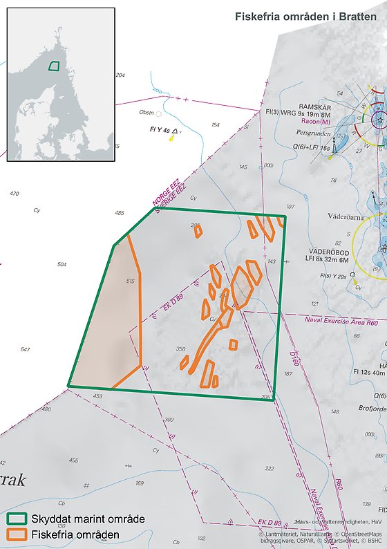 Areas with fishing regulations in the Bratten MPA. 