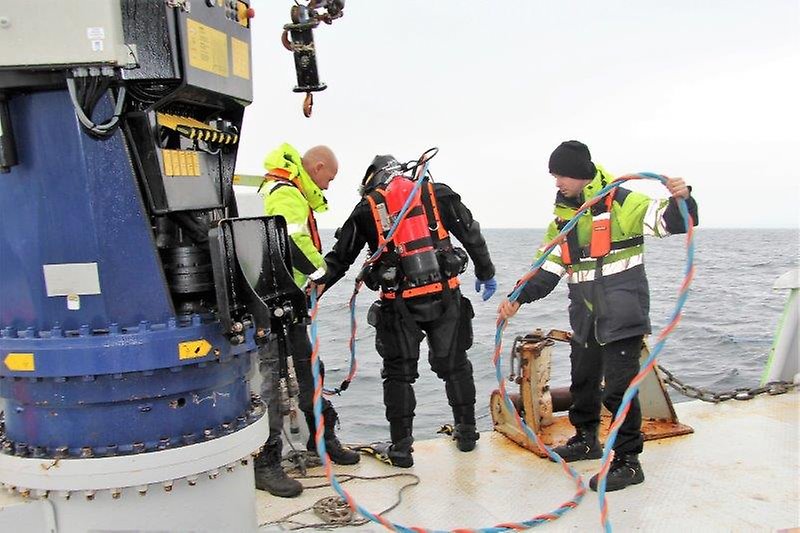 Dykare på väg ner till vraket Sandön. Foto: Lena Olsson Kavanagh. Startbild.