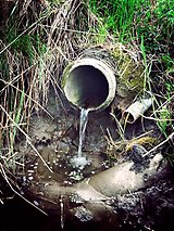 Vatten rinner ur ett avloppsrör ner i en bäck.