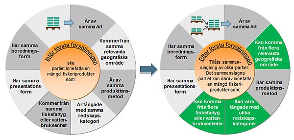 Partiindelning inför och efter första försäljningen. Illustration.