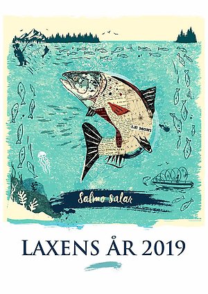 Illustration Laxens år 2019