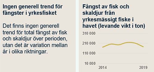 indikator 17 ingen generell trend för fångster i yrkesfisket