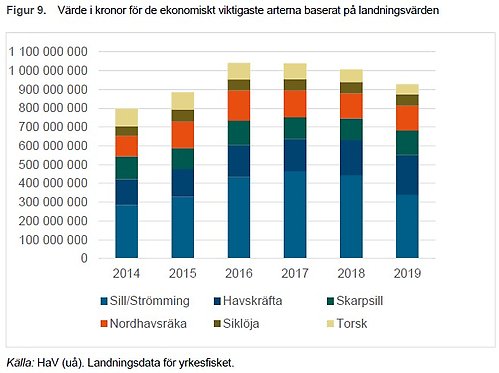 indikator 17 Figur 9. Värde i kronor för de ekonomiskt viktigaste arterna baserat på landningsvärden