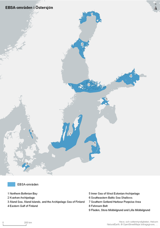 Kartillustration över Östersjön som pekar ut gränserna för de nio EBSA-områdena, exempelvis Norra bottniska viken.