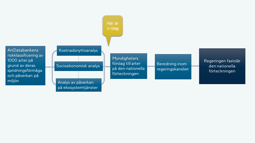Arbetet med nationella förteckningen. Illustration.