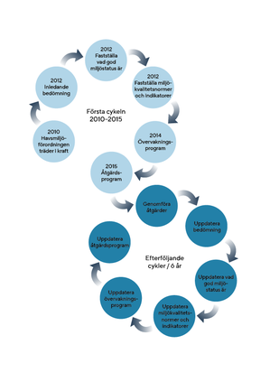 Schematisk skiss över förvaltningscykeln för havsmiljödirektivet.
