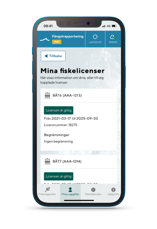 illustration för mina fiskelicenser
