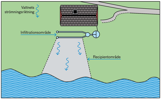 Illustrationen visar en infiltrationsanläggning sedd ovanifrån och den yta nedström som benämns recipientområde.
