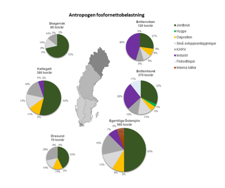 Figur 3 Källfördelning av antropogen nettobelastning av fosfor (ton/år).