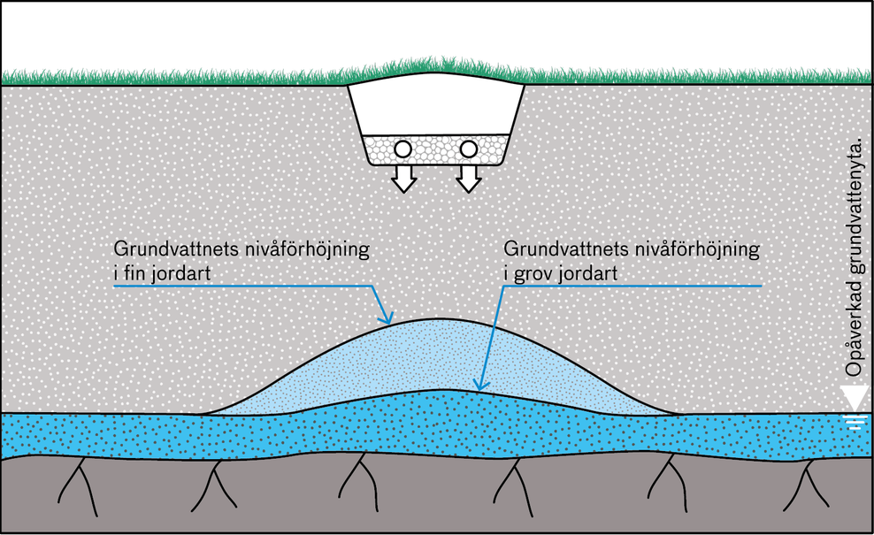 Illustrationen visar en infiltrations kortsida i genomskärning samt två olika grundvattennivåer.