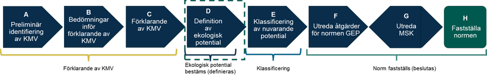 Steg D Vattenförekomstens ekologiska potential definieras.