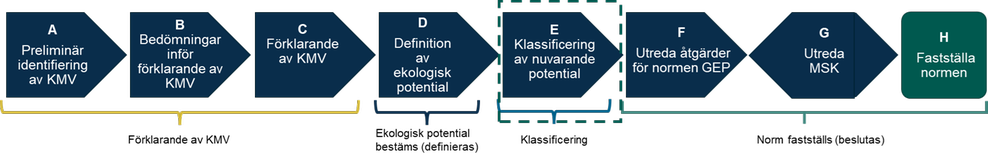Figur 15. Steg E Klassificering av nuvarande potential