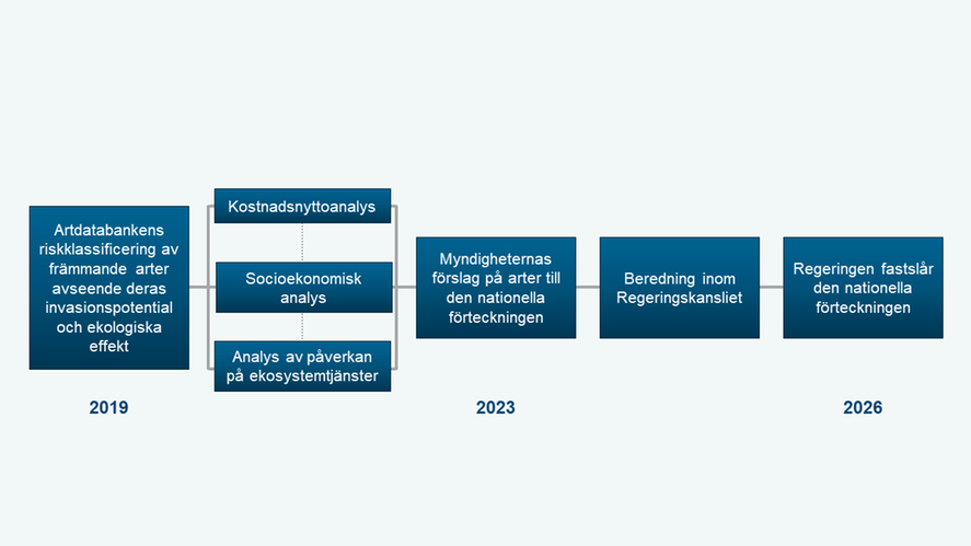Olika steg från arbetet illustreras.