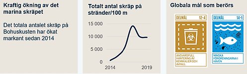 visar ökning av marint skräp