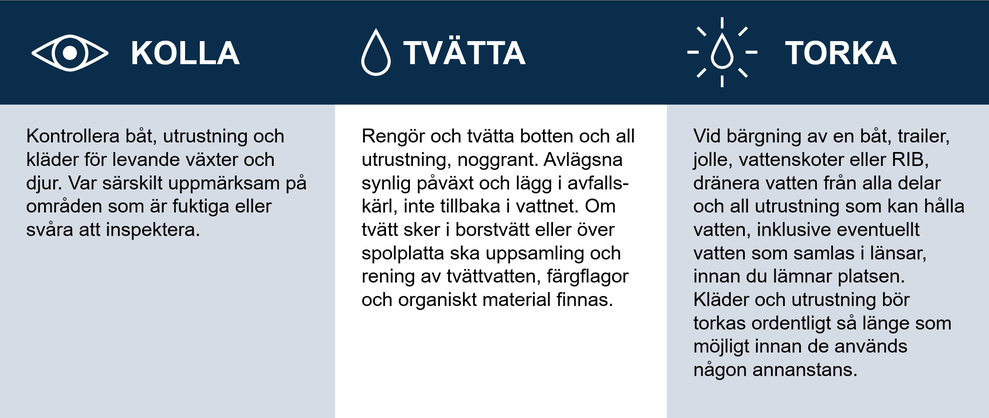 Illustration. Kolla, tvätta och torka.